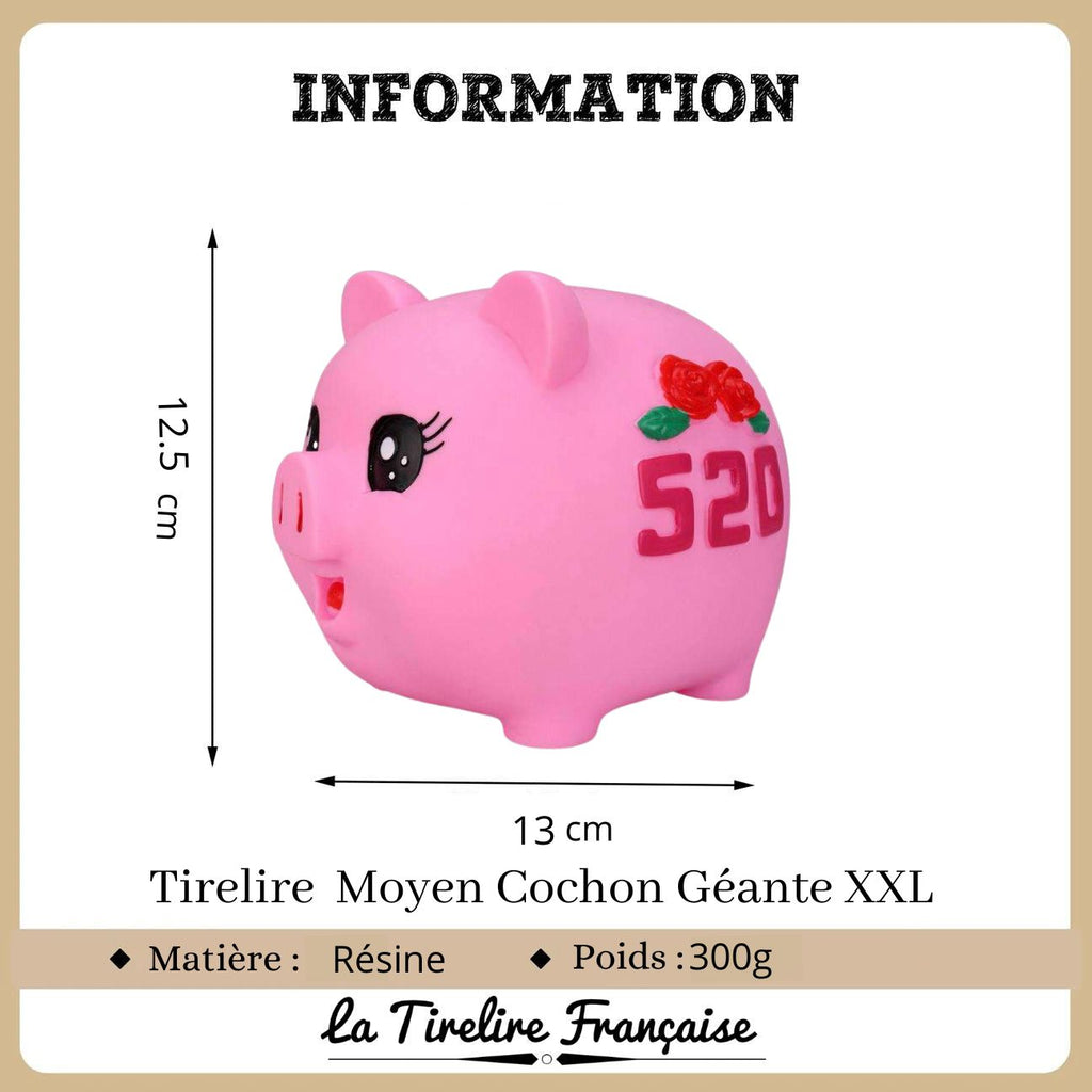 Tirelire Cochon géante xxl