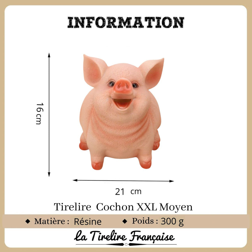 Tirelire Cochon XXL, La Tirelire Française